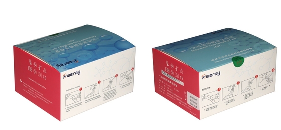 3ML Sekali Pakai VTM Test Kit Pengambilan Sampel Virus Untuk Covid-19