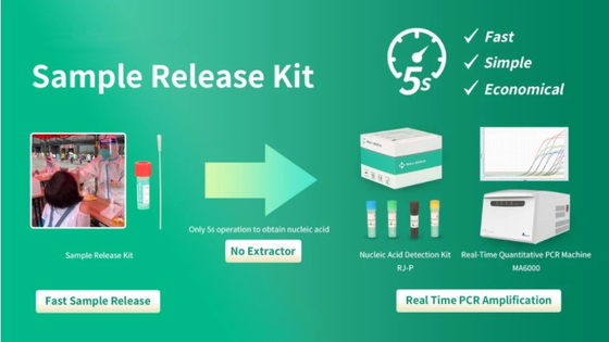 Sampel Virus PCR Rapid Test Kit Reagen Rilis DNA Persetujuan FDA