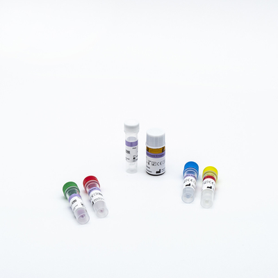Kit Tes RT PCR Cepat Fluoresensi Cepat Dan Sederhana Untuk Covid-19