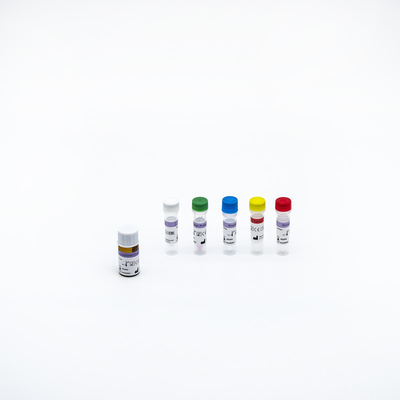 Kit Tes PCR Cepat Diagnostik Neon Kuantitatif Cepat Molekuler Multiplex