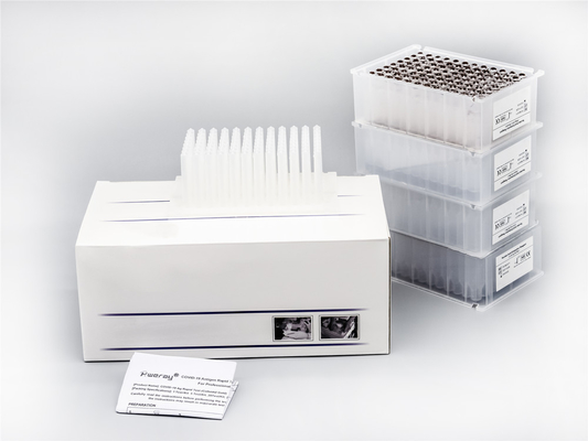Sertifikasi ISO13485 Pemurnian DNA Viral Sensitivitas Tinggi 48 Sumur