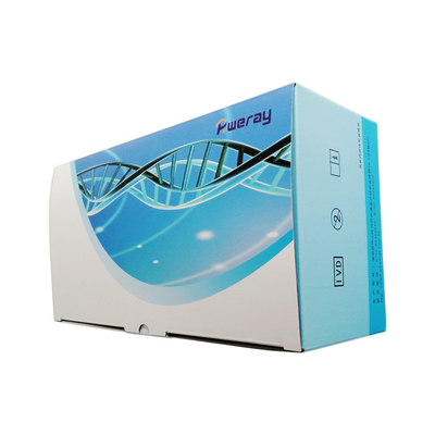 15 menit untuk mendapatkan hasil Antigen Rapid Test Kit dengan Sertifikasi CE
