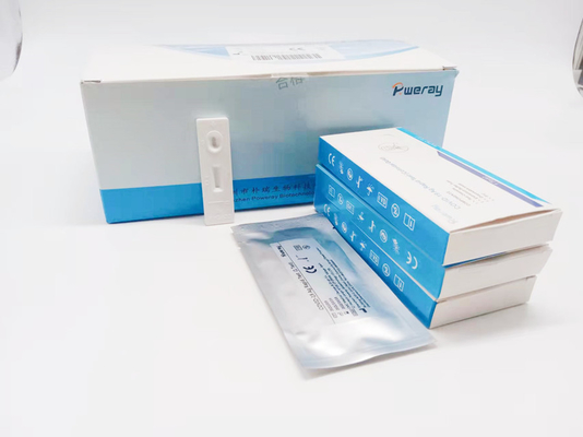 CE Disetujui Tes Amplifikasi Asam Nukleat Satu Langkah PCR NAAT Test Saliva Swab