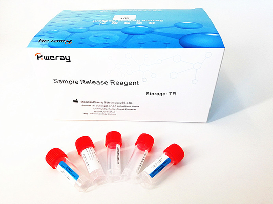 Spesimen Hidung PCR Deteksi Viral RNA Mini Kit Dengan ISO 13485